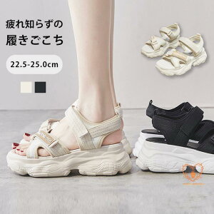 X|[cT_ fB[X  T_    bV ʋC ؍ JWA ₷ 傫TCY r