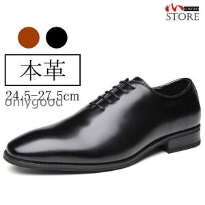 {vC amC rWlXV[Y Y {v U[ H v[gD ʋ p[eB[  24.5~27.5