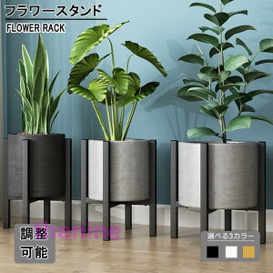 t[X^h ACA ԑ  u K[fbN v^[X^h ԒI ~̓X^h AX^h  Lk Aؔ