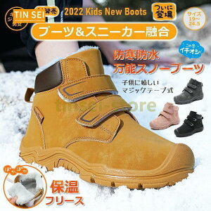 u[c q LbYu[c Xm[u[c WjA V[gu[c AEghA y ۉ h V[Y   h΍ ʉ ʊw 19.0cm?24.0cm