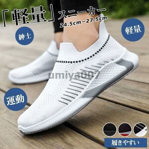 Xj[J[ Y JWAV[Y \bNXC EH[LO X|[c ₷ ^  Vv ʋC y Ȃ am t