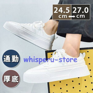 Xj[J[ Y EH[LO JWAV[Y nCq[  C ʊw ʋ n t H ~ AE^[ WMO zCg w