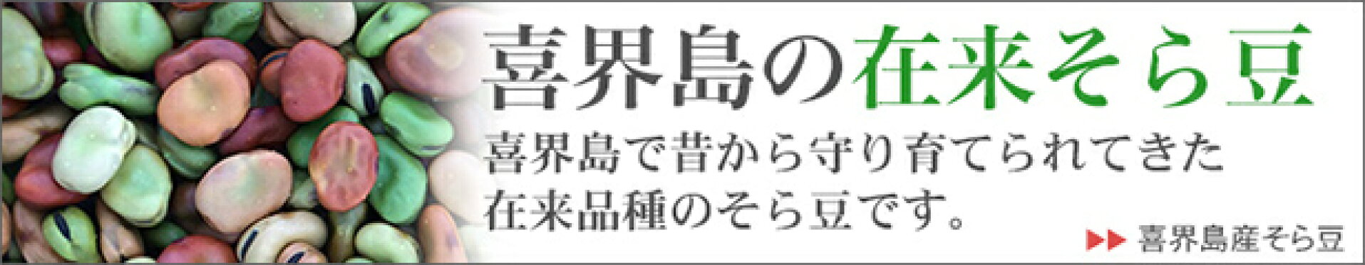 そら豆関連商品