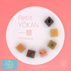 プチ羊羹 一華 (6個入) 紅梅 お取り寄せ スイーツ 気仙沼 お菓子 和菓子 ようかん 本練り ゆず 抹茶 キャラメル チョコレート いちごみるく