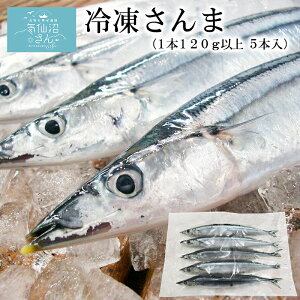 �y���ԁE���ʌ���1,075�~��999�~�z�Ⓚ ����� 5�{ (1�{120g�ȏ�) �۔ɏ��X IQF���� �C��� �O�� �H���� ������ ������