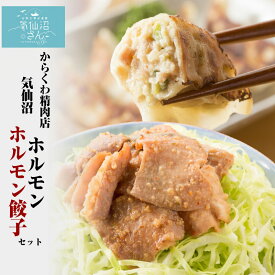 気仙沼ホルモン・餃子セット (ホルモン500g 餃子8個) からくわ精肉店 豚ホルモン 赤 白 モツ 焼き肉 鍋 レシピ 作り方 お取り寄せ