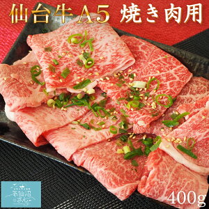 A5N 䋍 ēp (400g) 炭퐸X  јa Ă C  O