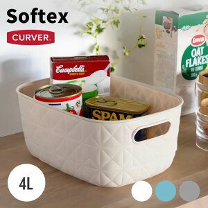 [{bNX   zCg u[ O[ Lgn  vX`bN CURVER J[o[ Softex \tebNX oXPbgS 4L