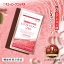 【公式】キユーピー ヒアロモイスチャー240 320mg×120粒 30日分 高純度 ヒアルロン酸 サプリ コラーゲン サプリメン…