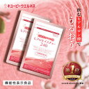 【初回2袋52%OFF】【定期購入】キユーピー 公式 ヒアロモイスチャー240 2袋 60日分 ヒアルロン酸 サプリ ※