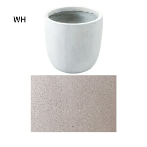 }bg X^CbV O[x[X Aؔ v^[ 35cm O[x[X v^[ A Aؔ jAXJ[ }bg ݃J[ A   P Au 