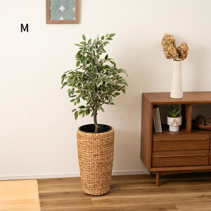 ҂ݍ EH[^[qVX Aؔ v^[ nC^Cv L M S v^[  AWA ϗtA Vv EH[^[qVX G CeA  uE F ҂  ~