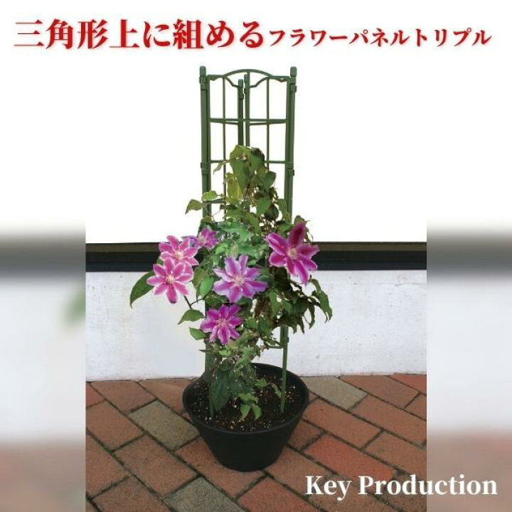楽天市場 お気に入りのお花を立体的にレイアウト 植木鉢やプランターに差し込むだけ つる性植物に最適 フラワーパネル トレリス ３連花 ガーデン ｄｉｙ フェンス エクステリア ガーデンファニチャー 沖縄県以外 送料無料 Keyproduction