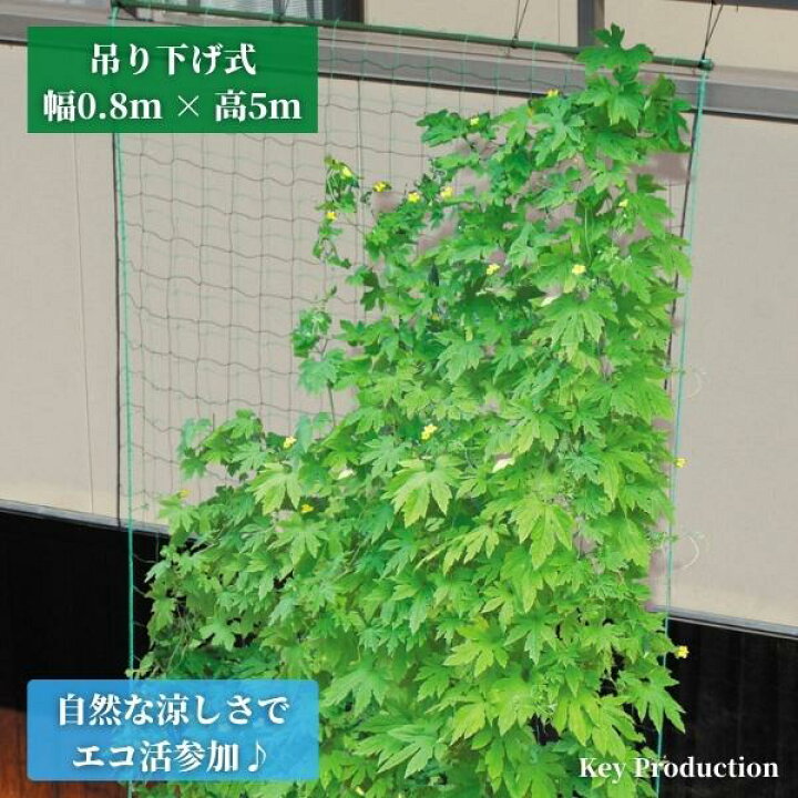 楽天市場 緑のカーテン 5ｍ 伸縮 80ｃｍ タイプ プランター ベランダ 家庭菜園 つる性植物 フェンス 目隠し 目隠しフェンス 壁掛け 日よけ 日除け 遮熱 断熱 省エネ 直射日光 エコ 遮光効果 蒸散作用 冷却効果 シェード 日よけ Keyproduction