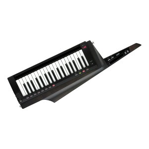 KORG RK-100S 2 BK gX[ZgEubN