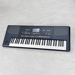 KORG Pa300 �y���[�J�[�A�E�g���b�g�i�z