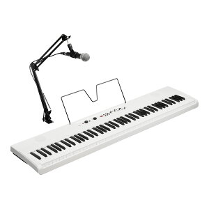 KORG Liano LIVE! [L1 LIVE] �R���O �d�q�s�A�m ���C�u�z�M�p�S������