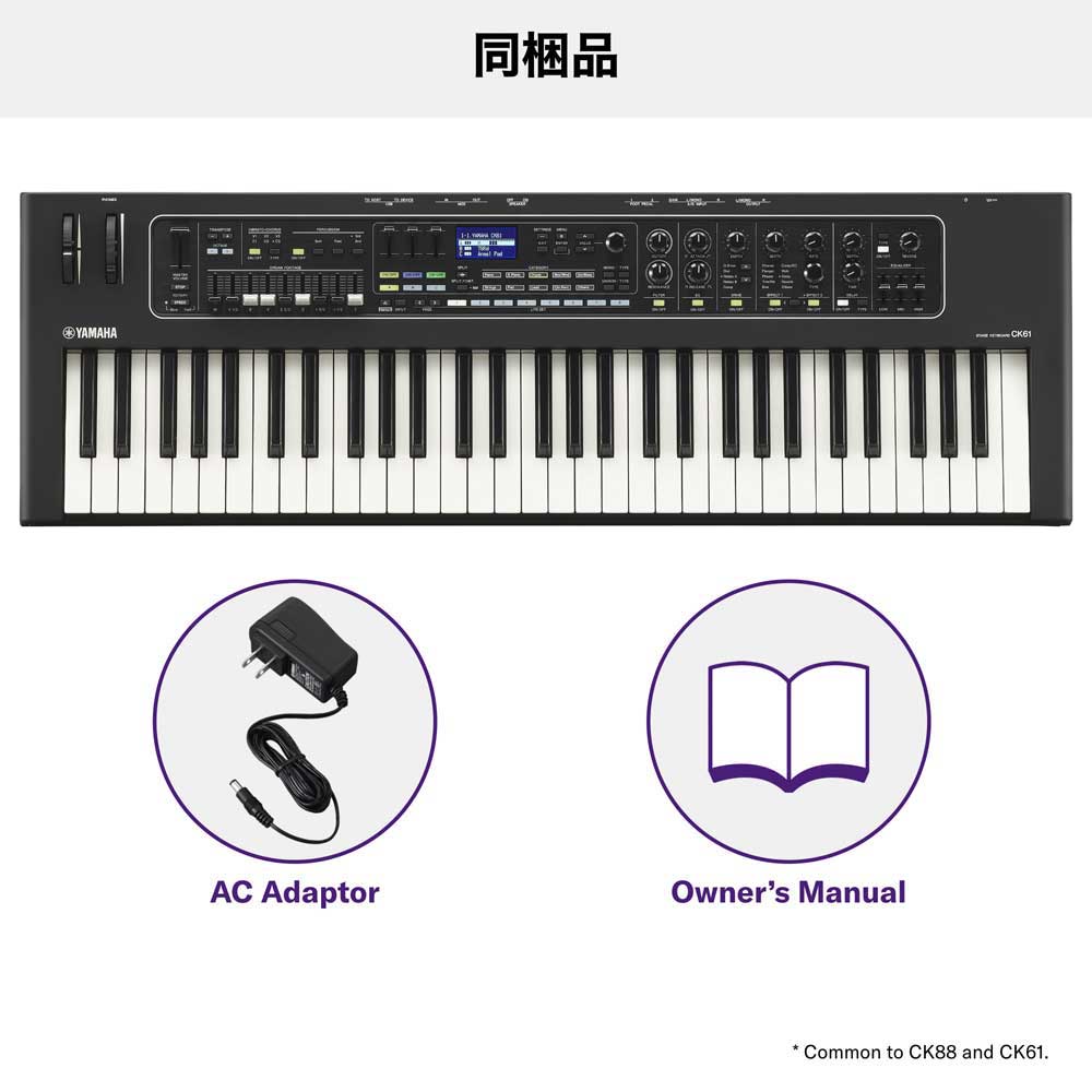 楽天市場】YAMAHA CK61 ヤマハ シンセサイザー 61鍵盤 【学生限定