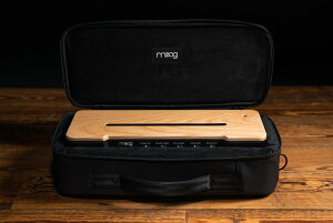 Moog Etherwave THEREMIN Series Case