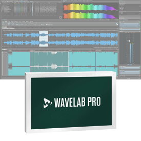 Steinberg WaveLab Pro 11 通常版（WaveLab/R）【パッケージ版】