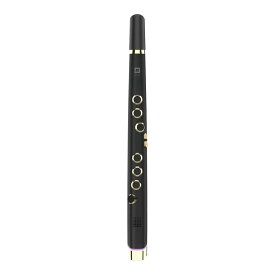 Robkoo Clarii mini Ebony Gold ロブクー ウィンドシンセサイザー