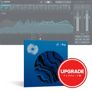 iZotope Ozone 12 Standard: Upgrade from Ozone Elements or Elements Suite y_E[h/AbvO[h/[[izy[XLOCgZ[I`10/6z