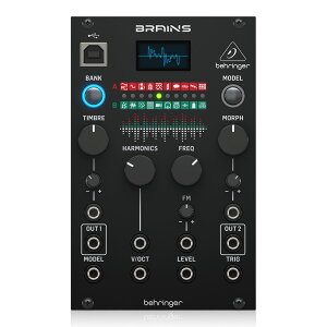 BEHRINGER BRAINS