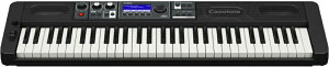 CASIO Casiotone CT-S500 JVI L[{[h
