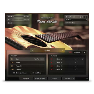 Native Instruments Session Guitarist - Picked Acoustic�y�_�E�����[�h��/���[���[�i�z