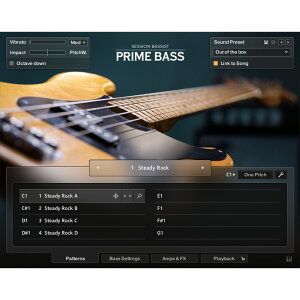 Native Instruments Session Bassist - Prime Bass y_E[h/[[iz