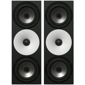 Amphion Two15 �y�A