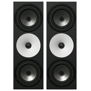 Amphion Two18 �y�A