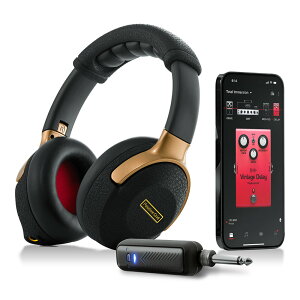 Positive Grid Spark NEO |WeBuObh wbhz M^[Av