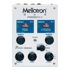Mellotron Micro Module fW^g