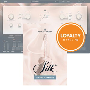 UJAM Virtual Guitarist SILK 2 CeB y_E[h/CeB/[[iz