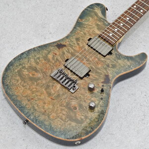 Sugi DH496C BM-PRM/HM/F-MAHO2P/LLG XM GLM^[ y摜z