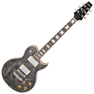 Aria Pro II PE-700 SBK AAv2 GLM^[ \tgP[Xt tCCvgbv nobJ[