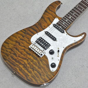 infinite Trad ST SSH See-through Russet Brown yS֋XEʐ^z