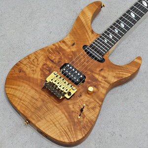 Caparison Dellinger-SH-BM-CL 2025 Amber Matt yS֋XEʐ^z