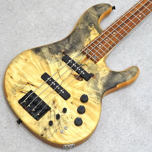 dragonfly CS4 Custom Buckeye Burl/Alder Blue Resin yS֋XEʐ^z