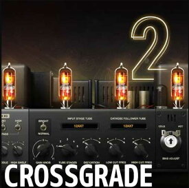 Positive Grid Crossgrade BIAS FX 2 Elite to BIAS AMP 2 Standard 【ダウンロード商品/クロスグレード版】