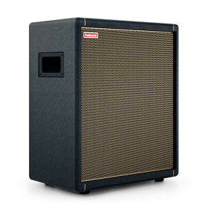 Positive Grid Spark CAB