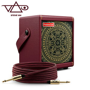 Positive Grid Spark MINI Vai |WeBuObh Xp[N~j XeB[uE@C f