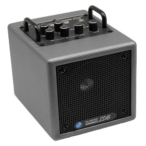 Phil Jones Bass (PJB) Nanobass X4 Carbon Silver 2025�N�~�E����J���[