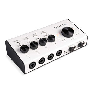 Blackstar Polar-4 I[fBIC^[tF[X