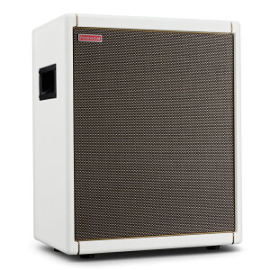 Positive Grid Spark CAB Pearl