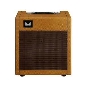 Morgan Amplification JS12 - Josh Smith Signature Combo