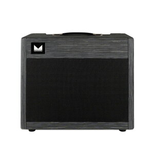Morgan Amplification DUAL 20 COMBO / TWILIGHT
