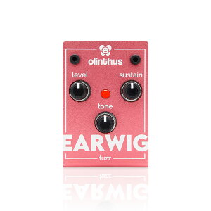 Olinthus EARWIG �I�����T�X �G�t�F�N�^�[ �t�@�Y