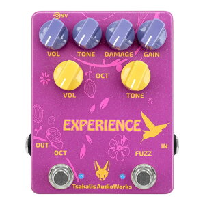 TSAKALIS AUDIOWORKS Experience